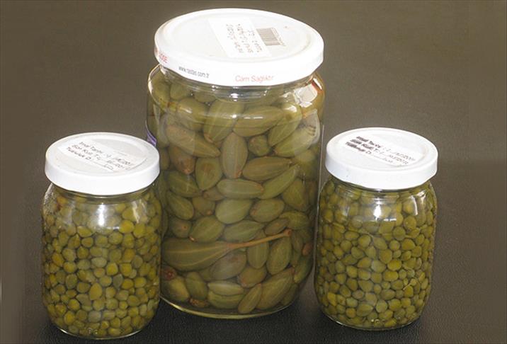 "Turpgiller kanserden koruyor"