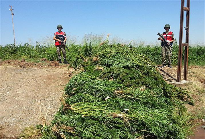 Diyarbakır'da hava destekli operasyon