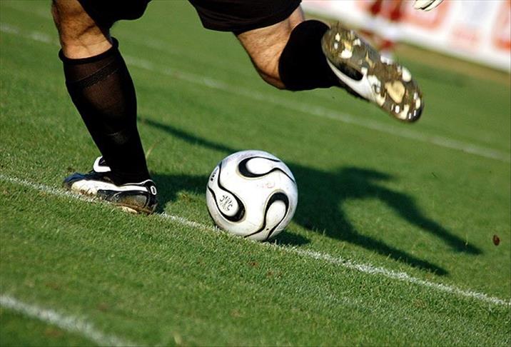 Egypt football association to investigate 'pro-Sisi' striker