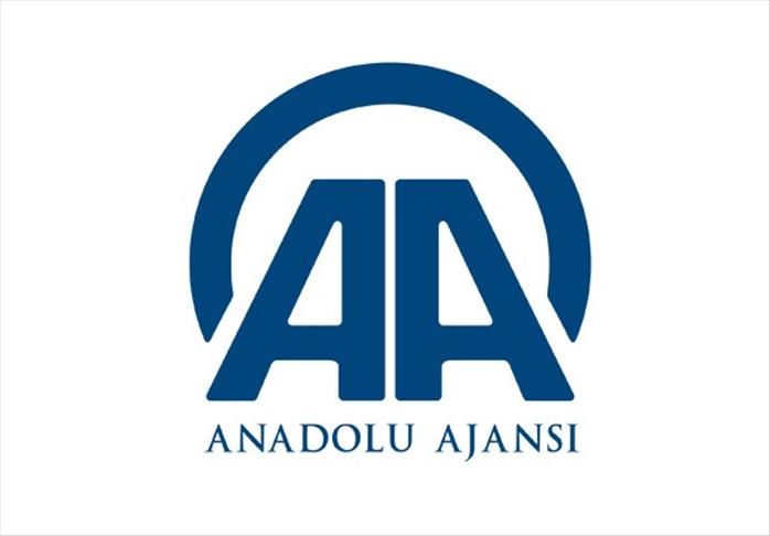 AA'dan bazı gazetelere dava