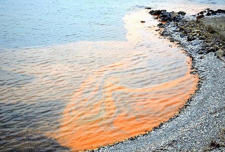 Karadeniz'deki kızıl tabakanın sebebi anlaşıldı