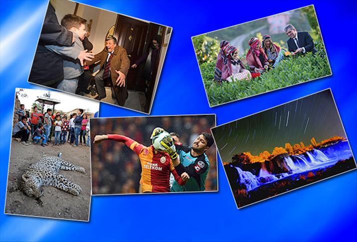 Anadolu Ajansı'na 5 ödül