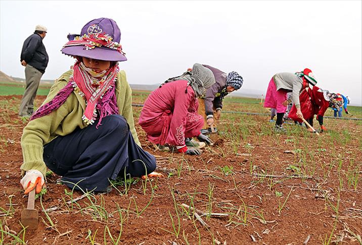 Suriyeli kadınlar "günlerinden" habersiz