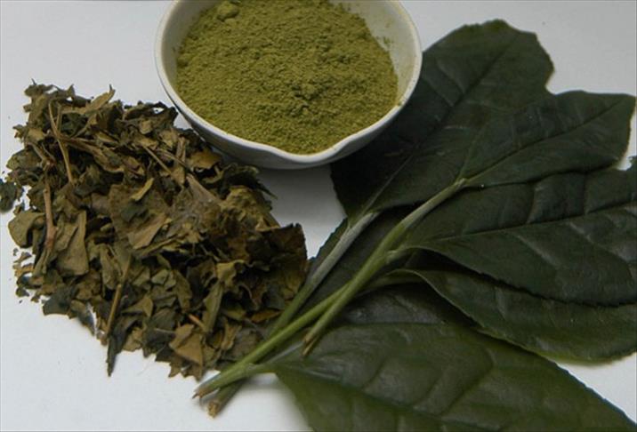 Зеленый чай улучшает память