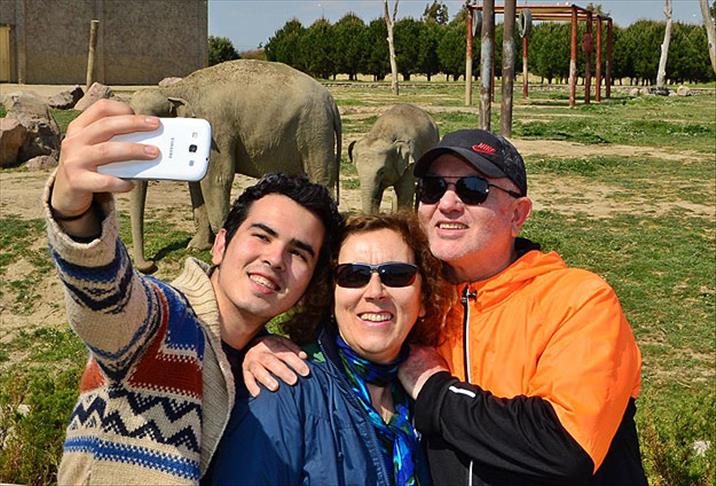 Yavru fil İzmir de "selfie"li oldu