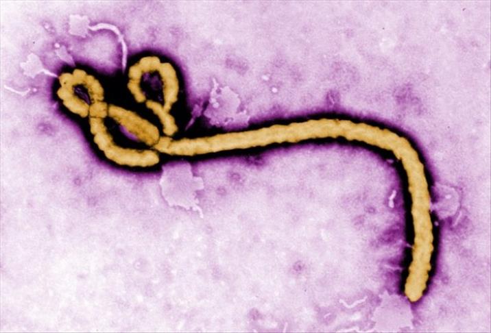 Afrika'ya gideceklere "Ebola" uyarısı