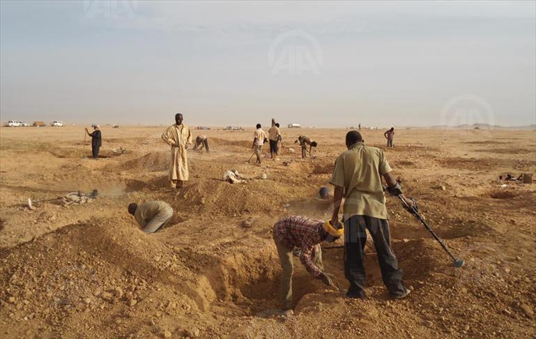 Quand la poule aux oeufs d'or court les dunes nigériennes
