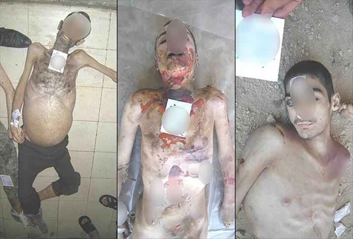 AA reveals new set of photos documenting Syria war crimes