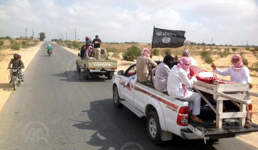 Egypte: Un leader de «Ansar Beit al-Maqdis» tué dans le Sinaï