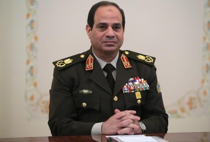 Sisi presidency draws disparate responses in Egypt