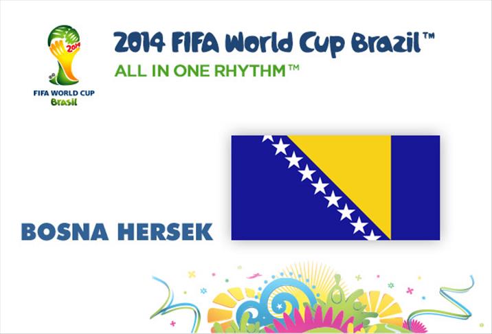 2014 FIFA Dünya Kupası: Bosna Hersek