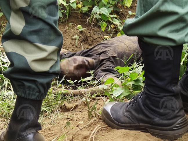 RDC-Rwanda: des "vaches" au coeur des affrontements