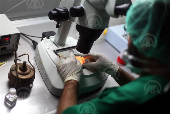 Egypte "éradiquera" le paludisme d’ici le 20 Juin