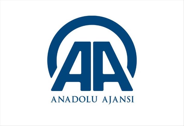 Anadolu Ajansı'na 3 ödül