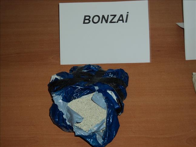 Turkey grapples with 'bonzai' drug phenomenon