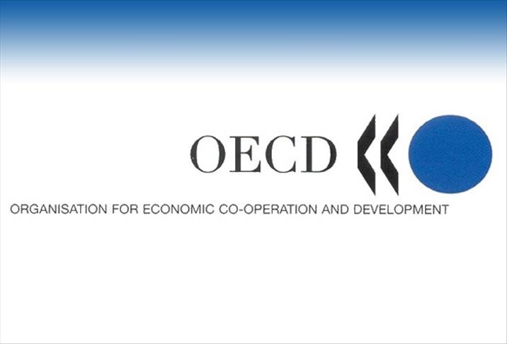 OECD upgrades yearly Turkish growth estimate to 3.3%