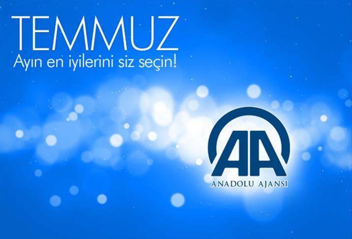 "Ayın Fotoğrafı ve Video Haber" oylaması