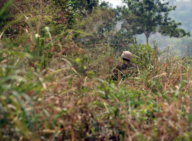 11 ex-otages évadés de Boko Haram au Nigeria regagnent le Cameroun
