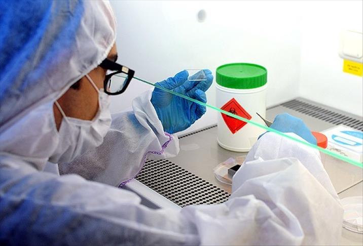 Ebola virüsünü teşhis eden test geliştirildi