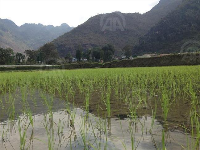 Bangladesh: Cinquante villages sous les eaux