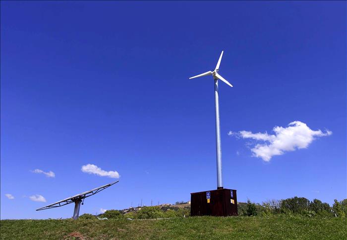 Solar and wind share in power generation rise globally