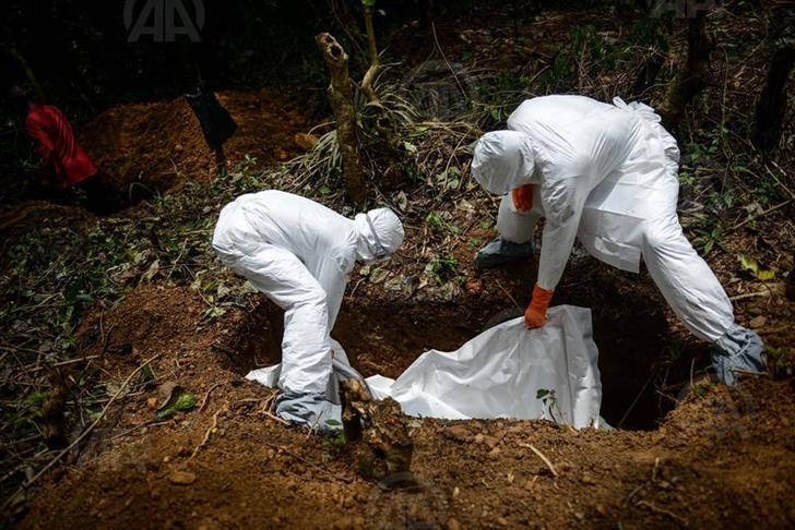 RDC: Ebola a fauché 31 vies, selon l'OMS
