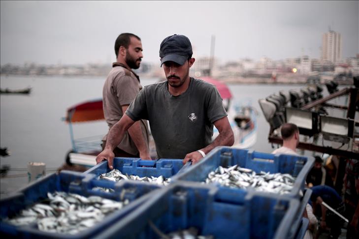 Israel reduces Gaza fish zone to 5 miles: Ministry