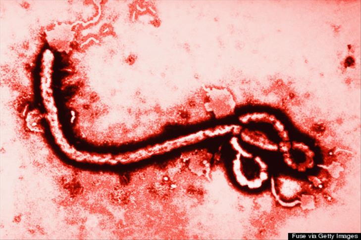 Borba sa virusom ebole: SAD u zapadnu Afriku šalje 3.000 vojnika