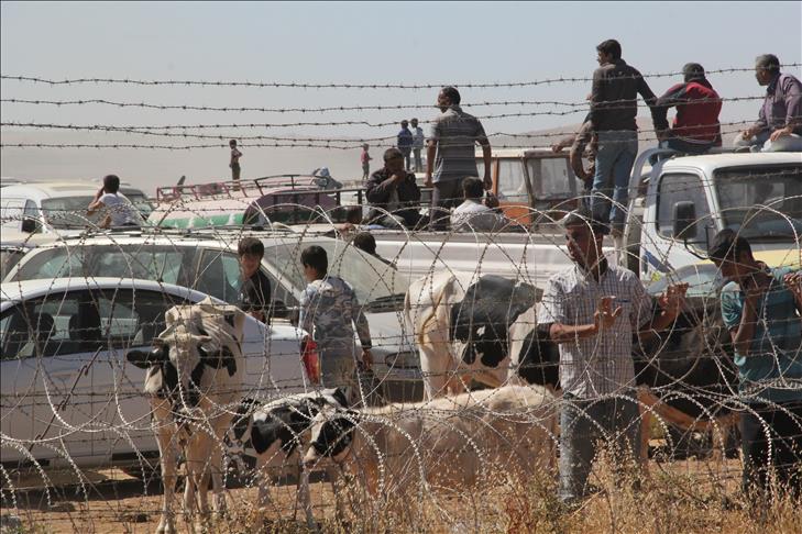 Turkey pledges to save Syrian refugees' livestock