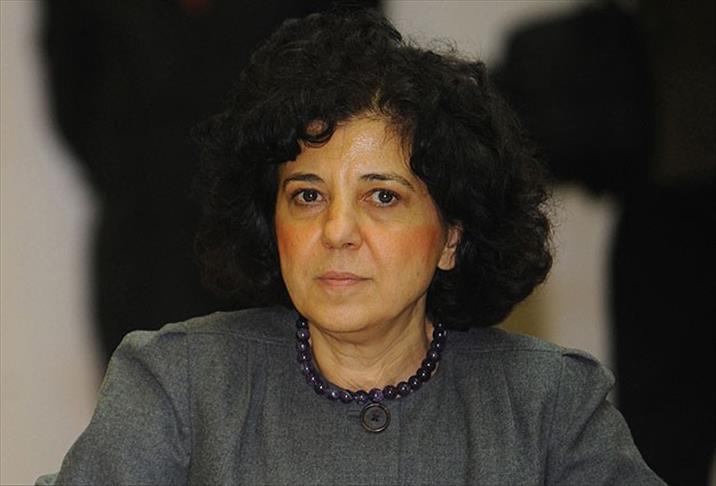 Синирлиоглу назначена комиссаром D8 от Турции