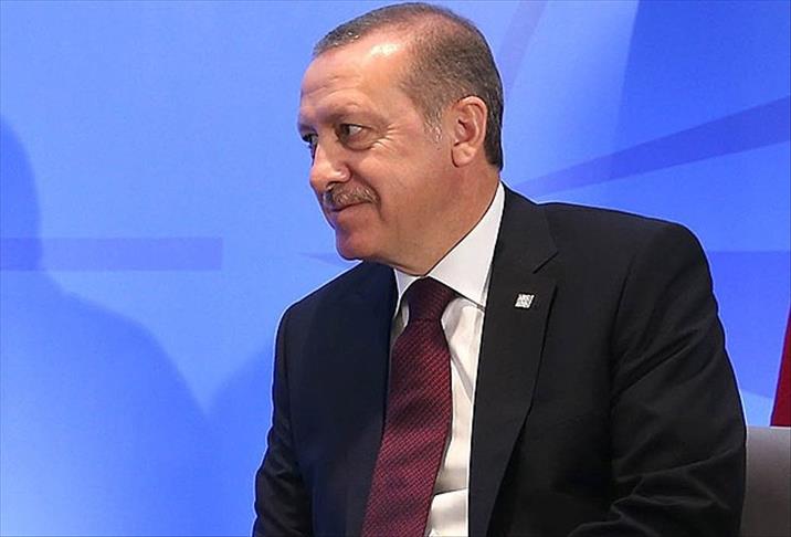 Turkish official denies Erdogan, Al-Sisi meeting