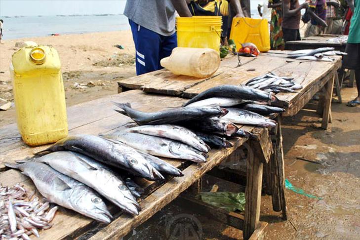 La Côte d’Ivoire déterminée à faire du secteur de la pêche un moteur de croissance