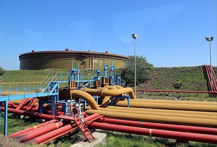 Doğalgazda Rusya'yı "çetin rekabet" bekliyor