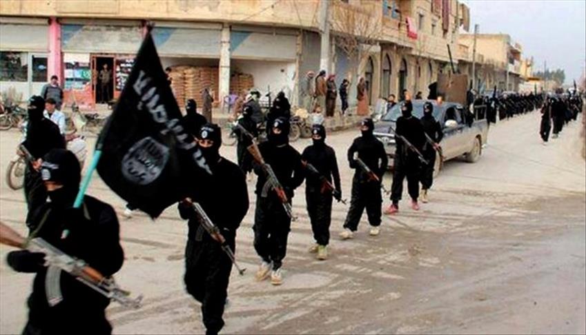 Protestors set ISIL flag ablaze in Kabul