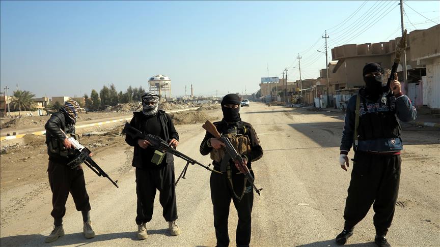 Pakistani Taliban commanders pledge allegiance to ISIL