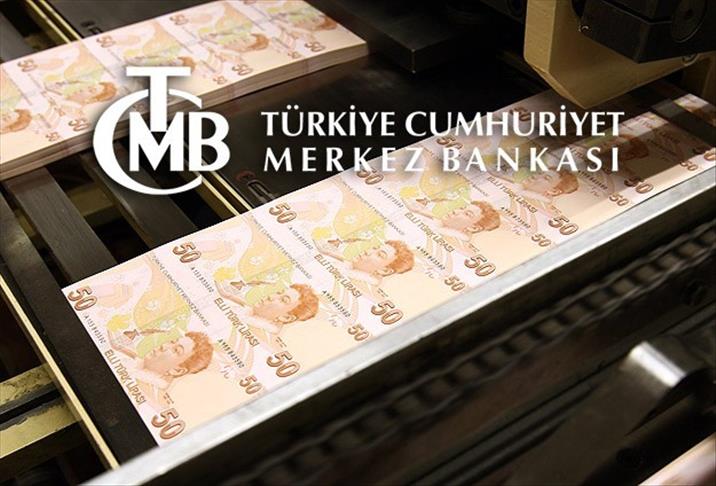 Turkish Central Bank holds interest rate at 8.25 pct