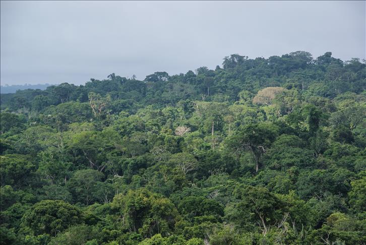 Land rights for Peru’s Amazon key in climate fight