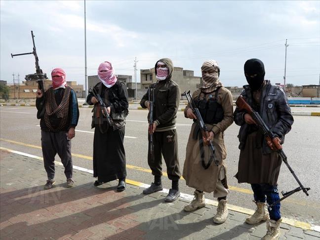 At least 15 ISIL militants killed in Iraq