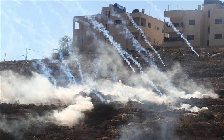 Israel teargases anti-settlement activists in W. Bank