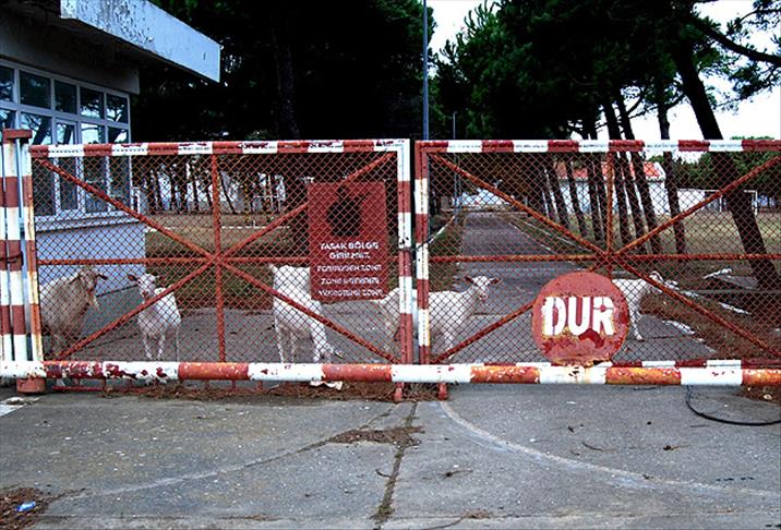 "Zincirbozan" hayvanlara otlak oldu