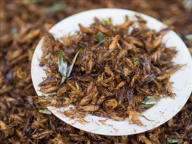 Kenya's cricket cuisine