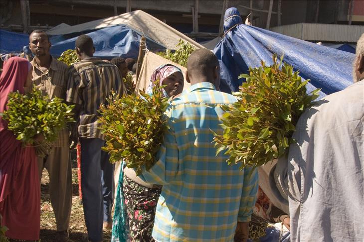 Ethiopia's herbal high remains popular despite ban