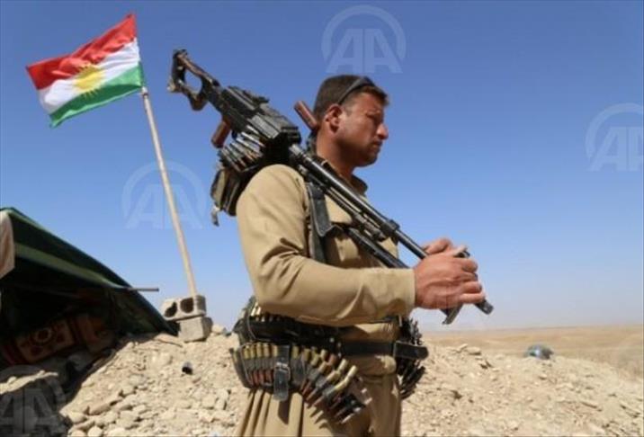 Irak: 29 éléments de l'EIIL tués par les Peshmergas