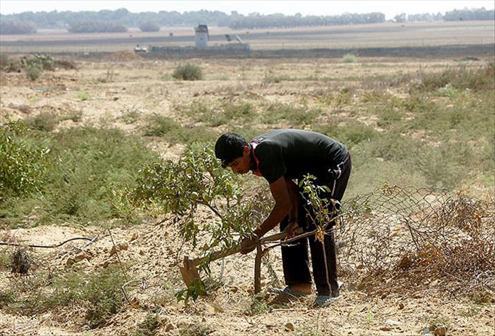 İsrail Filistinlilerin tarım arazilerine ateş açtı