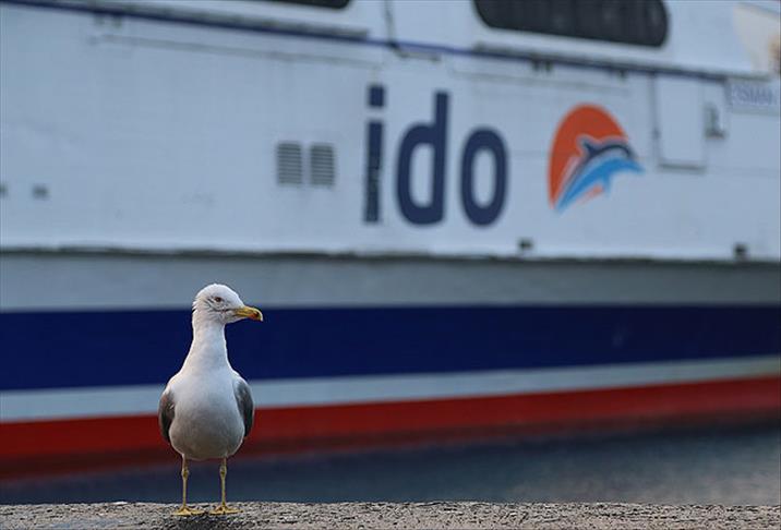 İDO'dan sefer iptali