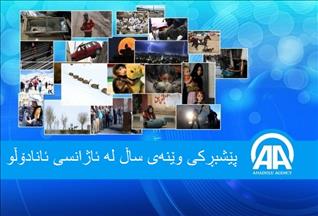 دەنگدان بۆ وێنەكانی ساڵ لە ئاژانسی ئانادۆڵو