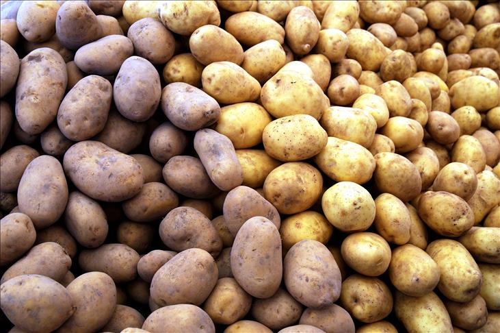 Patatet e skuqura mund të bashkojnë belgët