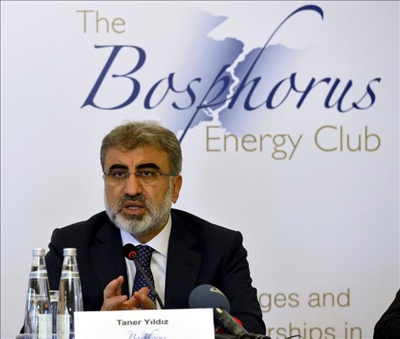 'Turkish Stream' not just transit project: Energy Min.