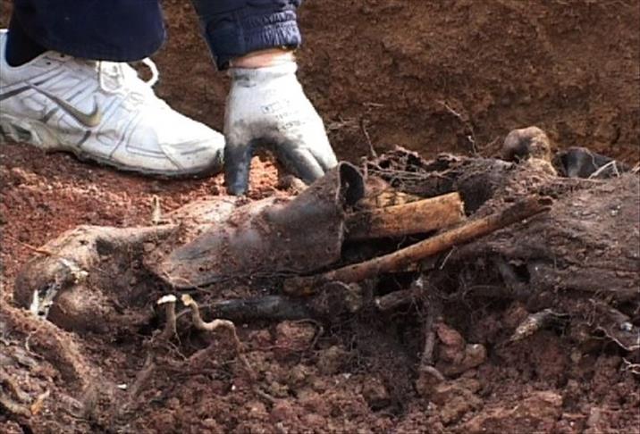 'Mass grave' unearthed in Bosnia and Herzegovina