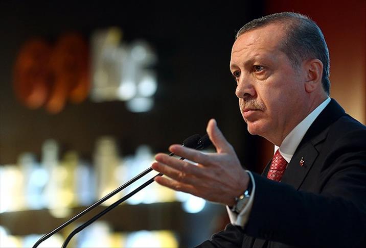 Erdogan slams EU criticism of operation against 'parallel state'